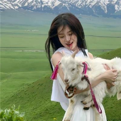 辛巴达穿破猛虎眼